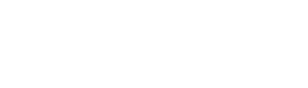 Logo Expert Cyber Services